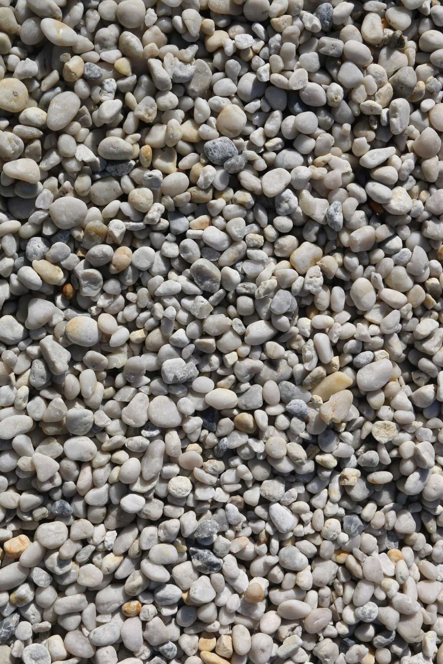 Grey Gravel