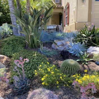 Water-Wise Gardening xeriscaping