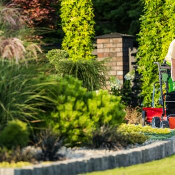 Gardener in the garden